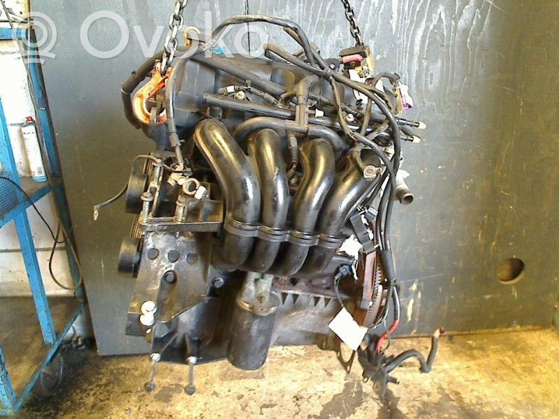 Motor
