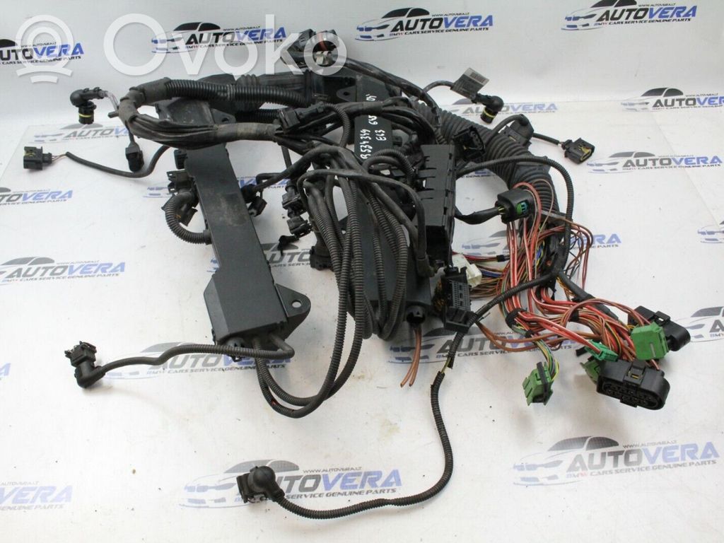 Engine installation wiring loom   7535727