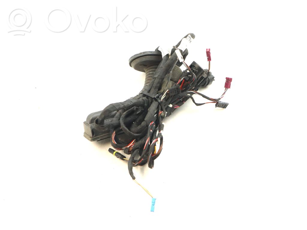 BMW X3 G01 Cableado de puerta trasera 