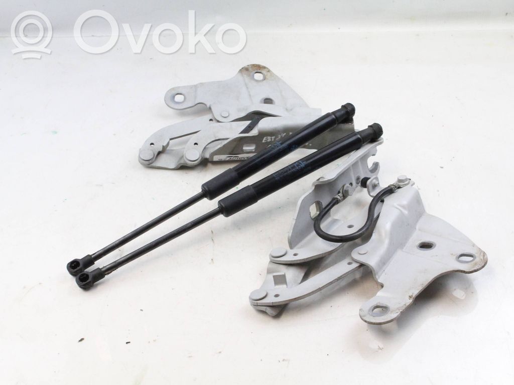 BMW X1 E84 Engine bonnet/hood hinges 