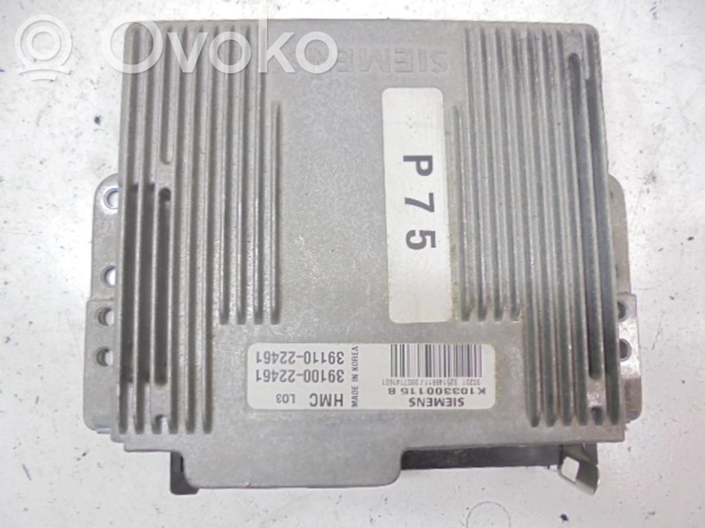 Hyundai Accent Engine control unit/module ECU 