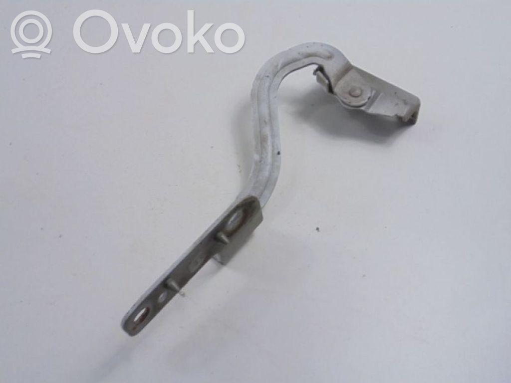 Renault Modus Engine bonnet/hood hinges 