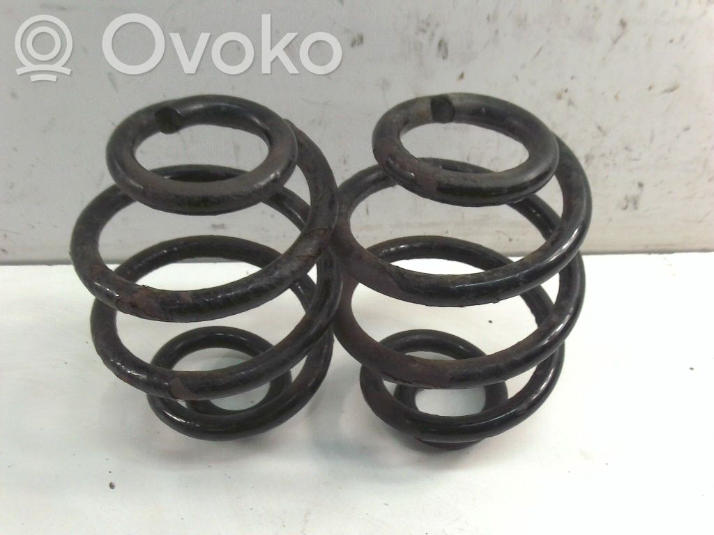 Rear coil spring