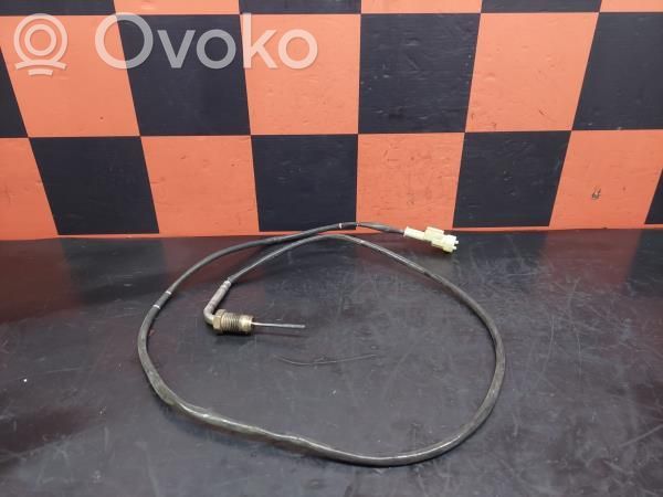 Fiat Ducato Exhaust gas temperature sensor 