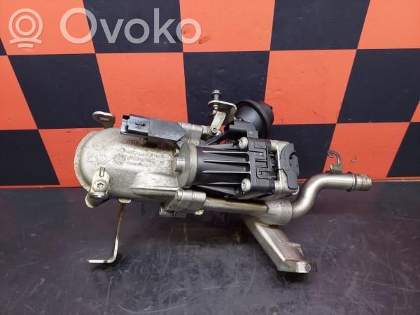 Citroen Berlingo EGR vožtuvas 