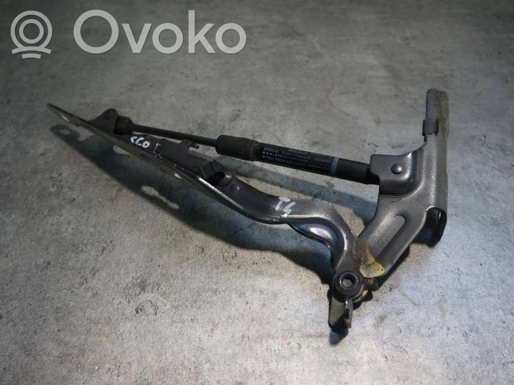 Engine bonnet/hood hinges   307991978,269WMD0E,31278769