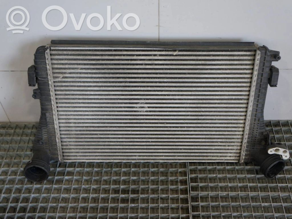 Seat Toledo II (1M) Chłodnica / Komplet 
