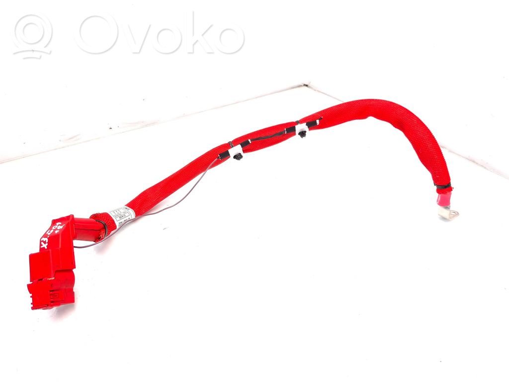 BMW X3 G01 Positive cable (battery) 