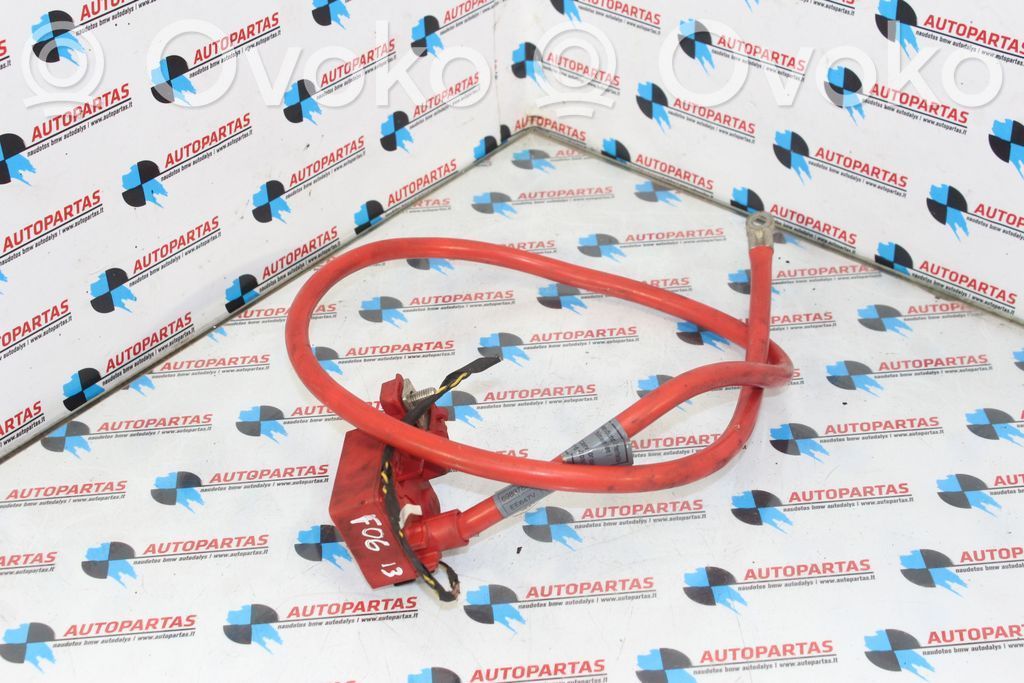 BMW 6 F06 Gran coupe Pliusinis laidas (akumuliatoriaus) 