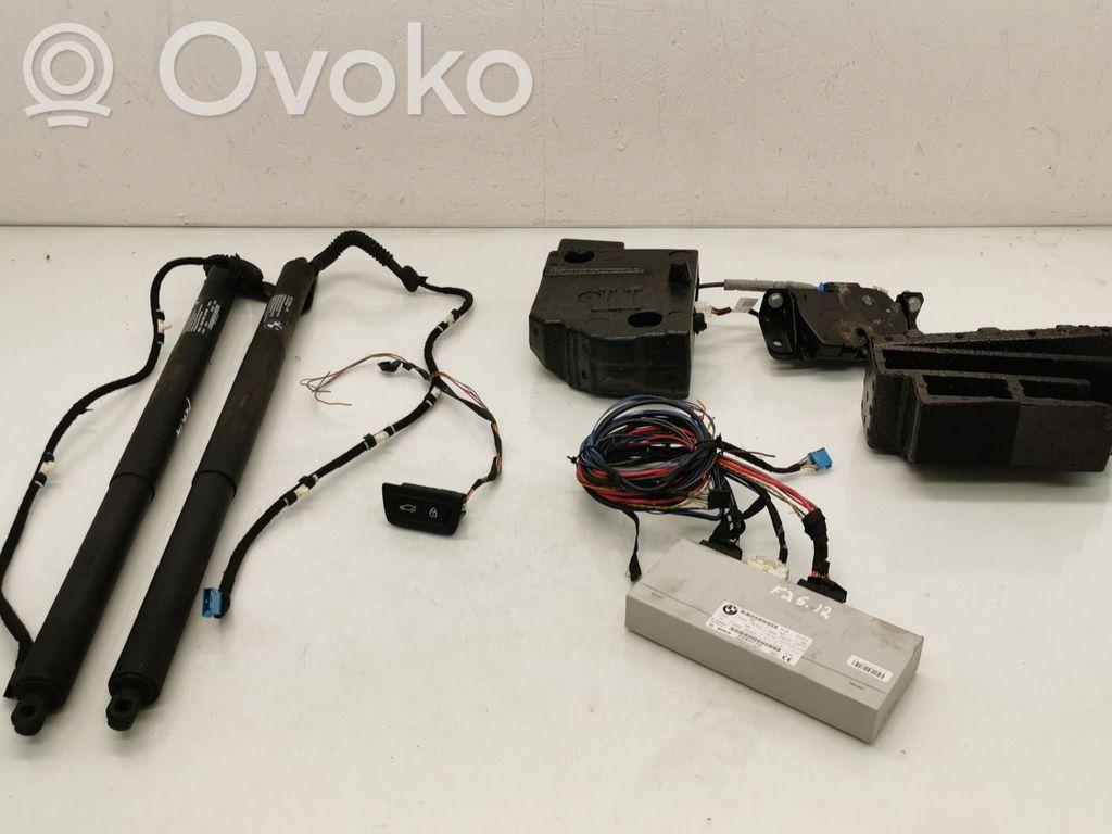 BMW X3 F25 Pompa / Siłownik klapy tylnej bagażnika / Komplet 
