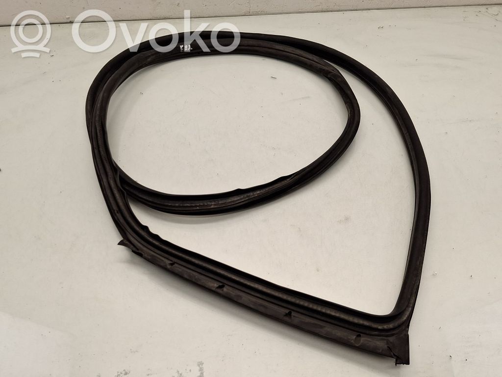 BMW 1 E82 E88 Front door rubber seal 