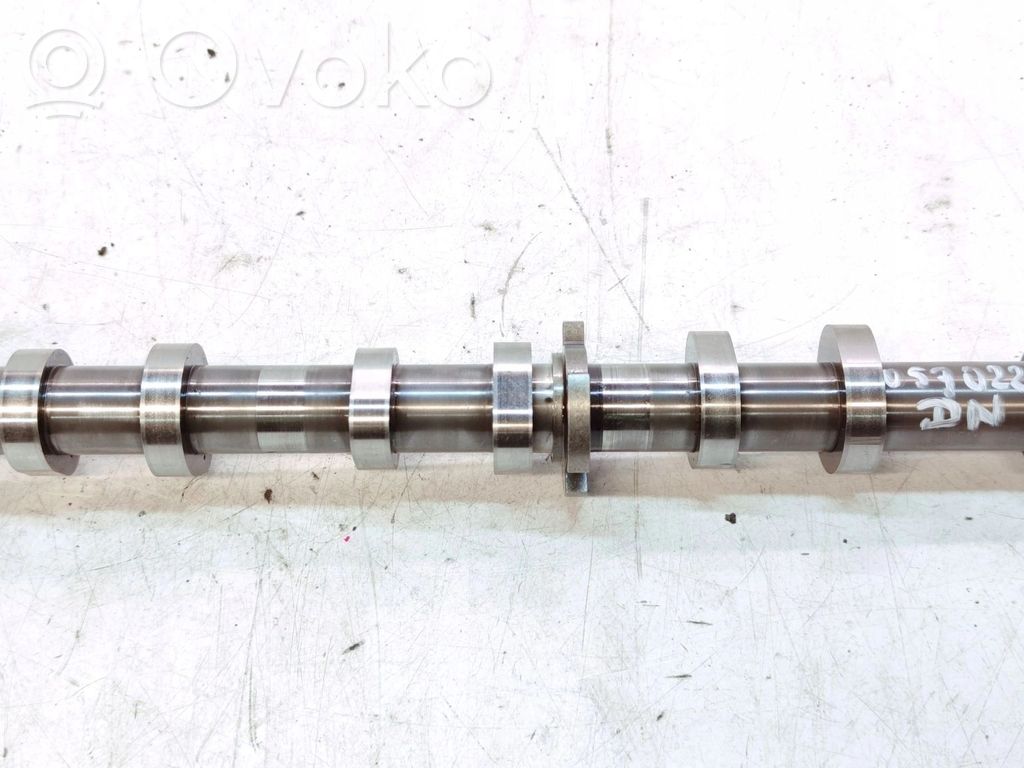 Sadales vārpsta   059022DN