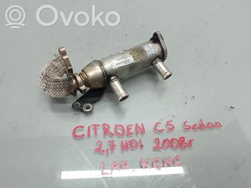 Refroidisseur de vanne EGR   215972341