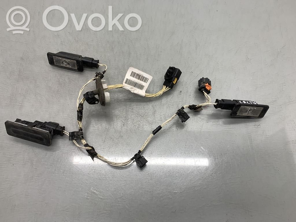 Tailgate/trunk wiring harness   9809808680,9809808680