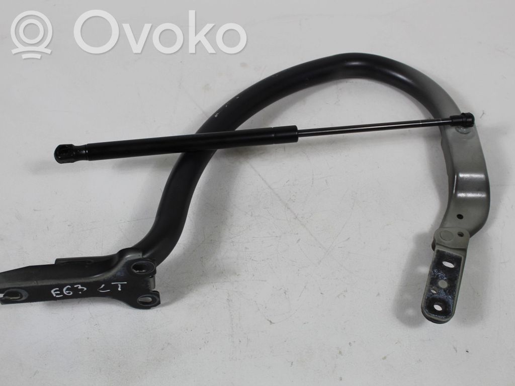 Tailgate/trunk/boot hinge   7008743