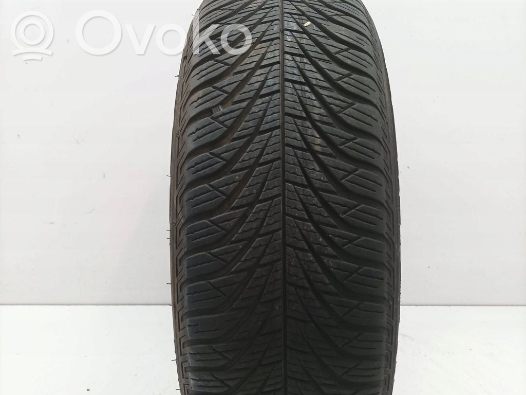Renault Megane I Зимняя покрышка (покрышки) R14 