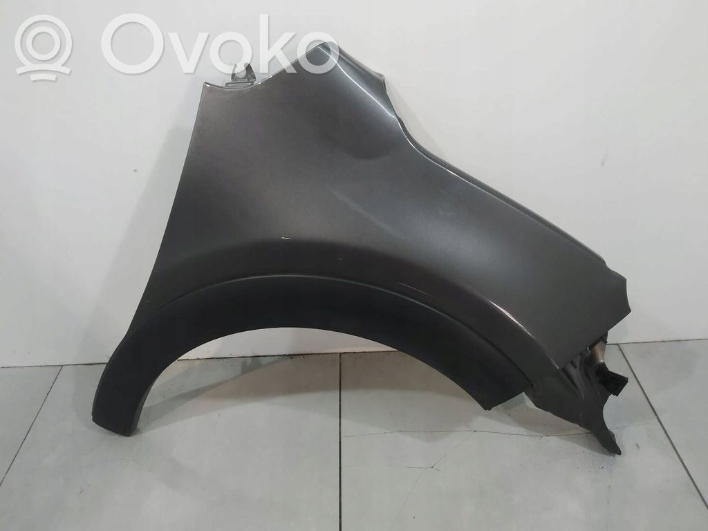 Fender