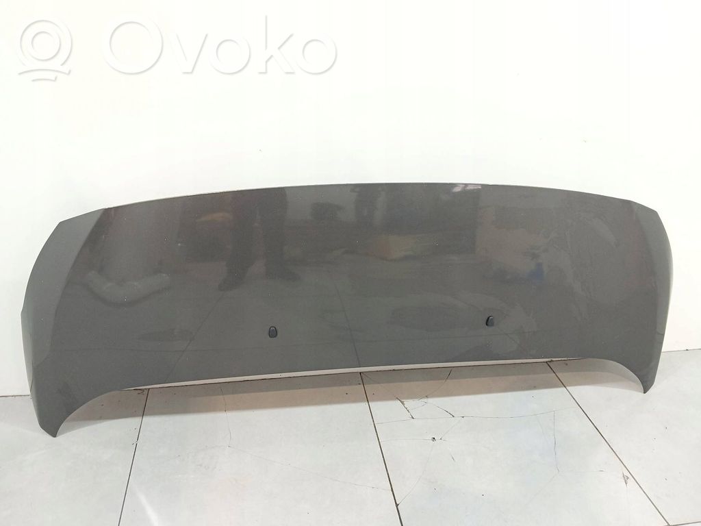 Capó/tapa del motor