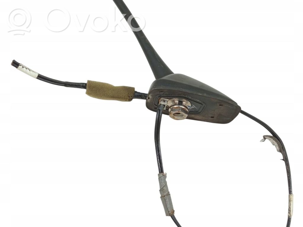 Radion antenni