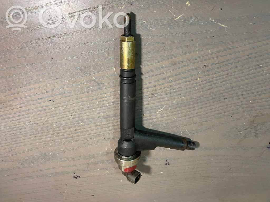 Inyector de combustible   97185244,8973138612,98437712