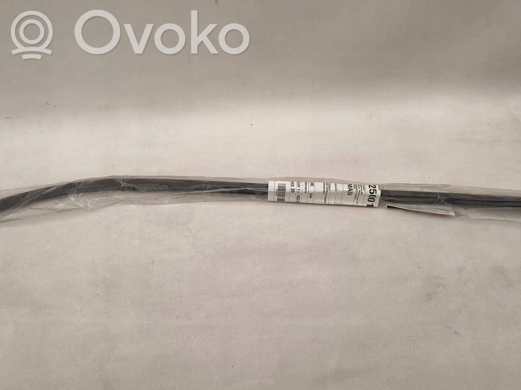 Ford Grand C-MAX Windshield trim 