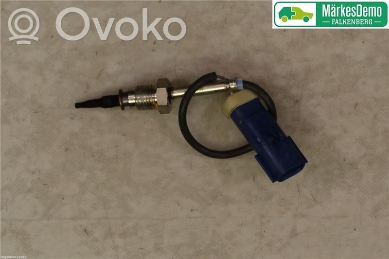 Abgastemperatursensor   45962117F,45962117F