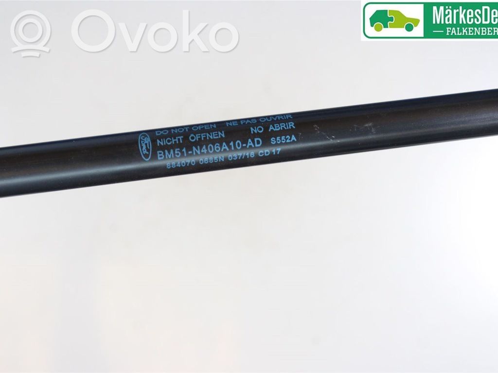Ford Focus Jambe de force de hayon