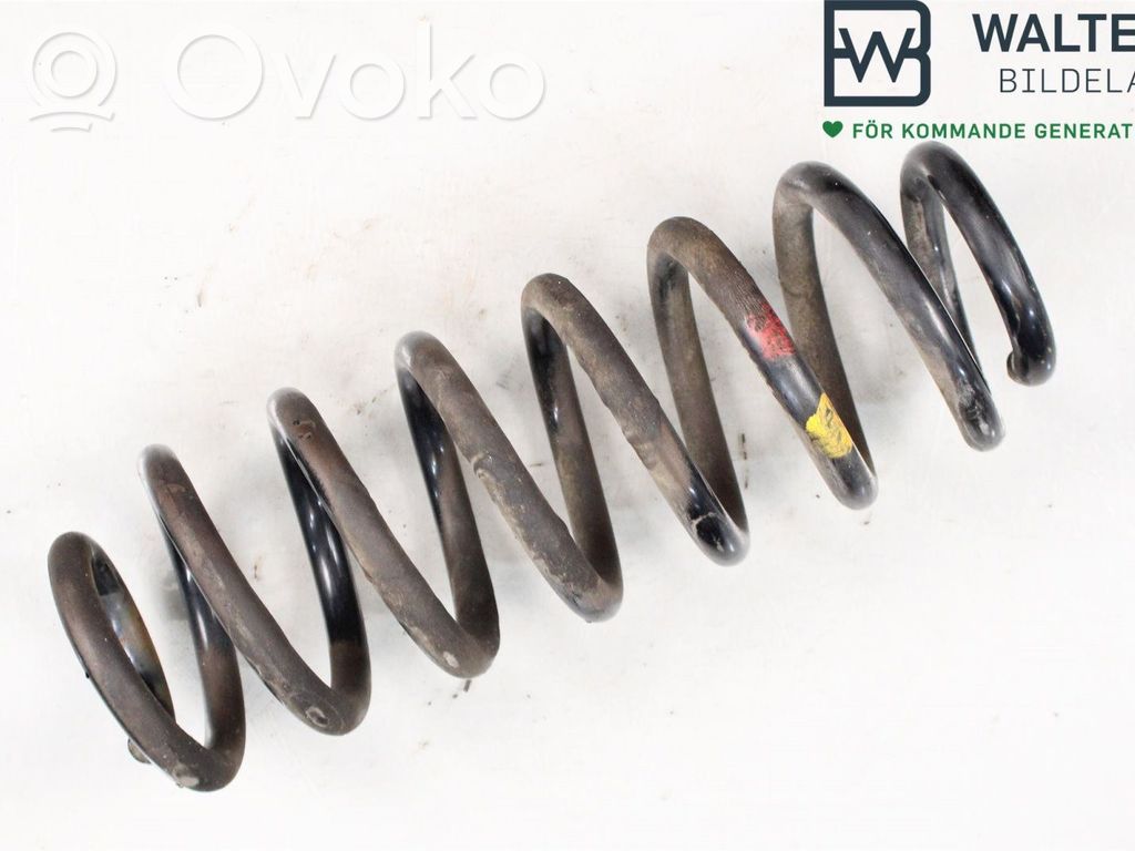 Rear coil spring   10734026