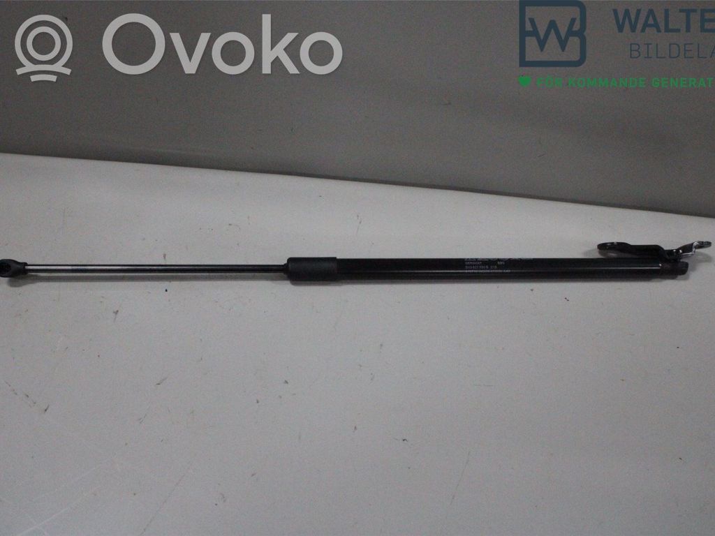 Volkswagen Golf VIII Puntone del portellone posteriore 