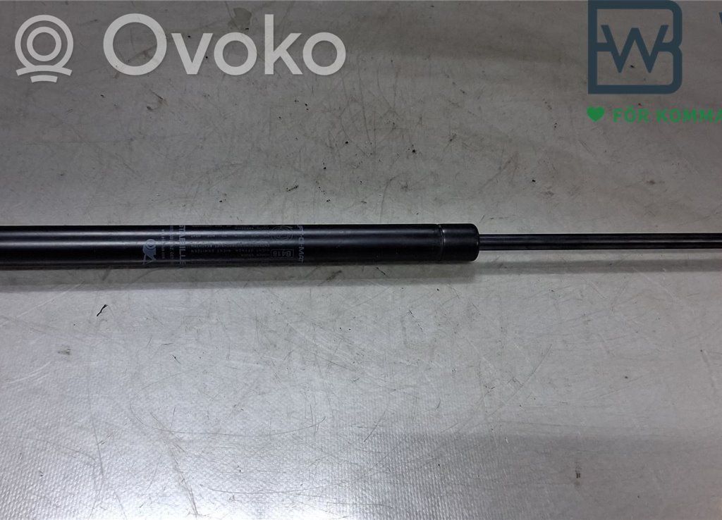 Fiat 500E Tailgate strut 