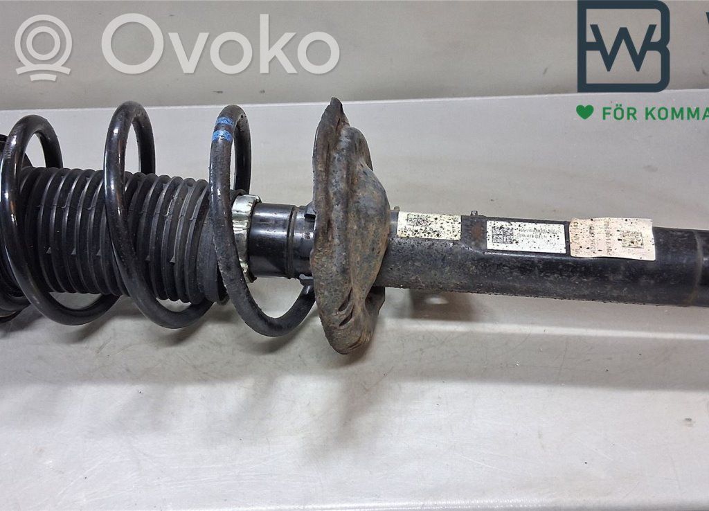 Volkswagen Golf VIII Ammortizzatore anteriore con molla elicoidale