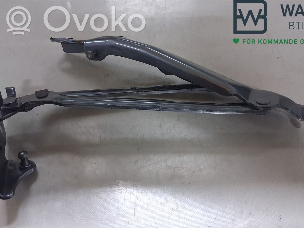Volkswagen Beetle A5 Bisagra del maletero/compartimento de carga 
