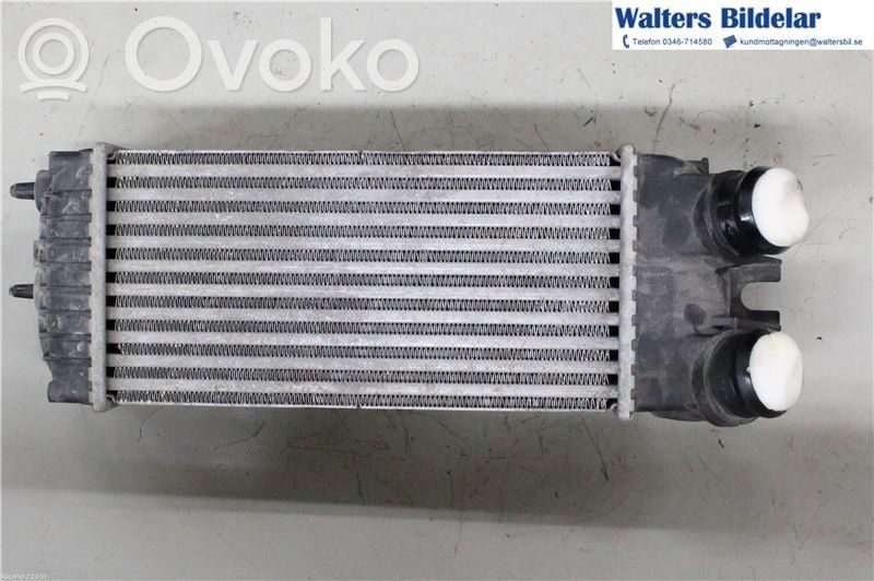Radiador intercooler   0384G5,9645965180