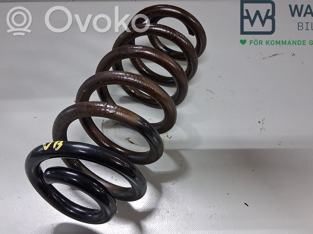 Feder hinten   11842289