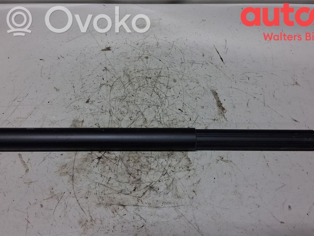 Volkswagen Tiguan Amortyzator / Siłownik tylnej klapy bagażnika 
