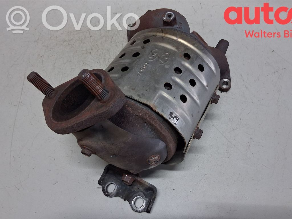 Filtr cząstek stałych Katalizator / FAP / DPF   2851004DA0