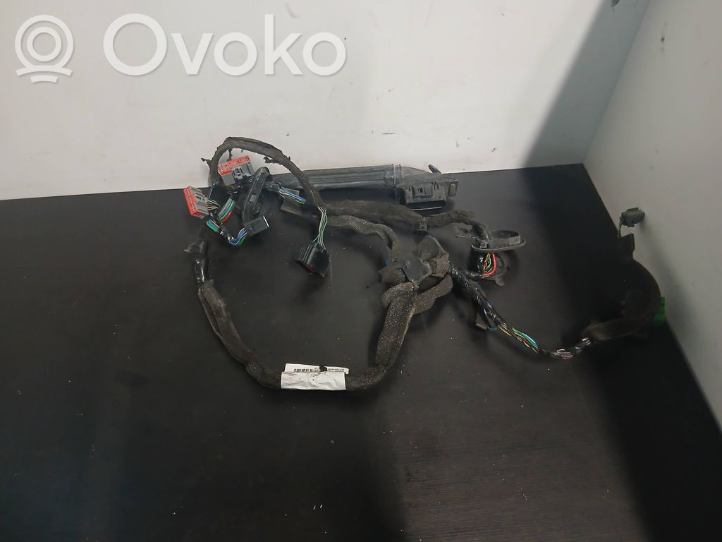 Volvo S80 Cableado de puerta delantera 
