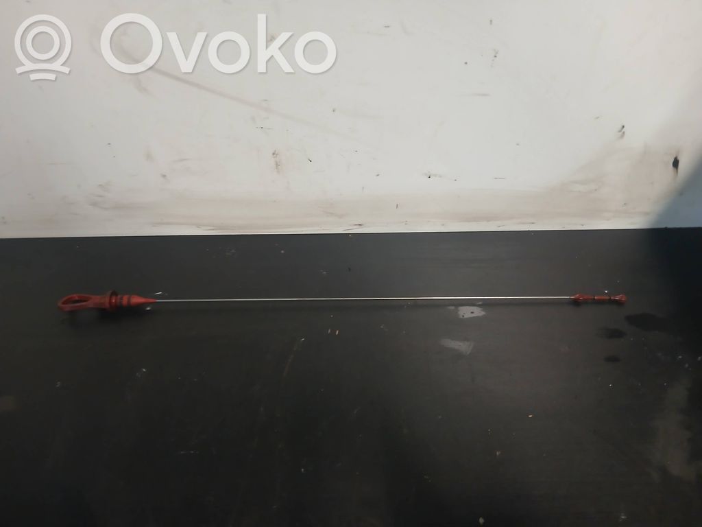 BMW 5 E60 E61 Tepalo lygio matuoklė 