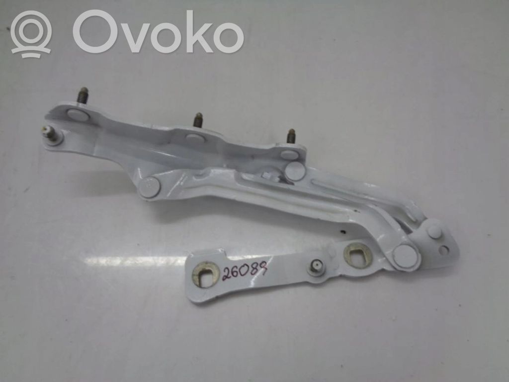 Tesla Model 3 Tailgate/trunk/boot hinge 
