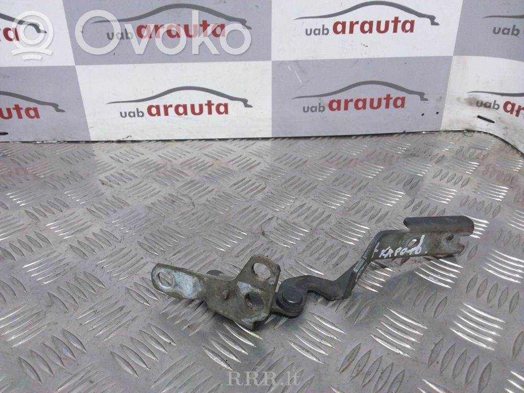 Citroen C5 Balamale capotă 