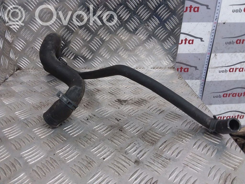Volkswagen PASSAT B5 Engine coolant pipe/hose 