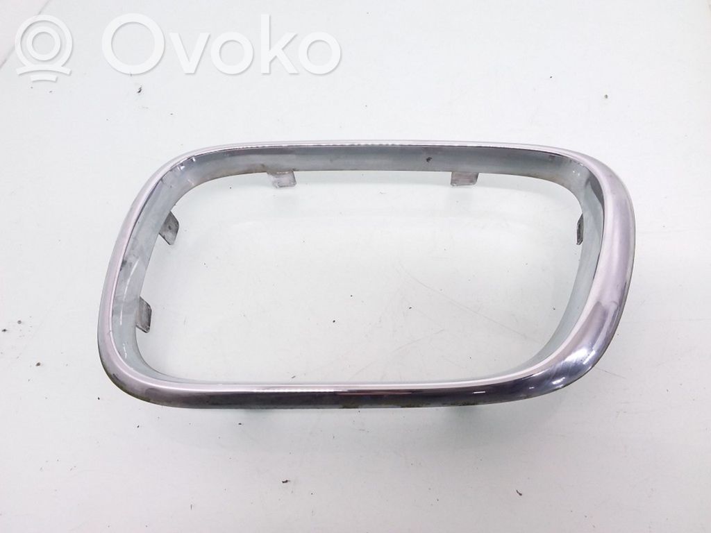 BMW X5 E53 Front grill 