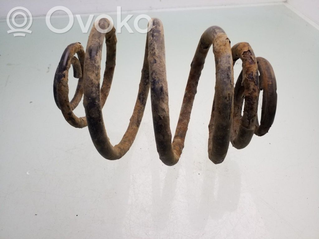 Rear coil spring