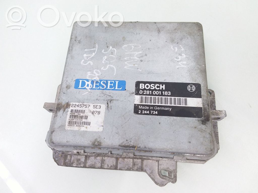 BMW 5 E34 Engine control unit/module 