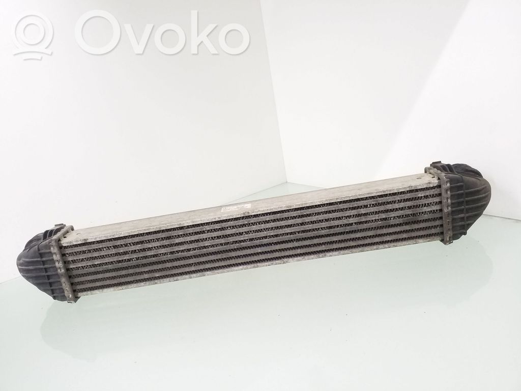 Mercedes-Benz A W169 Radiator intercooler 
