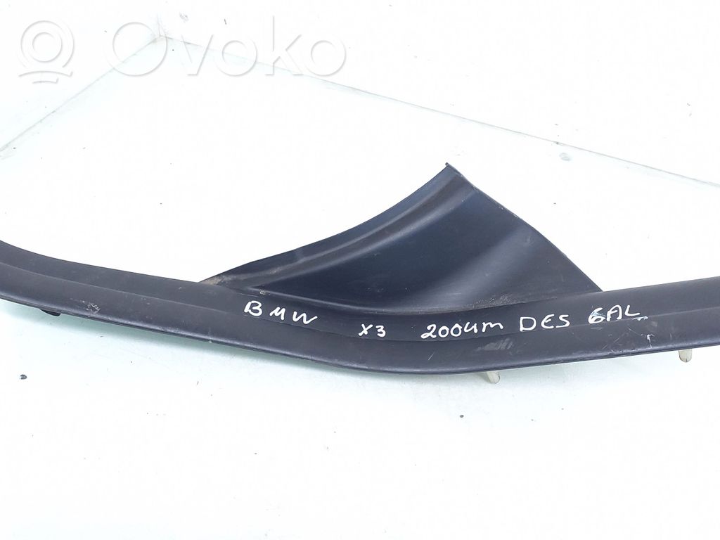 BMW X3 E83 Moldura protectora del borde trasero 