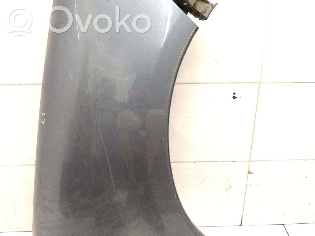 Błotnik przedni