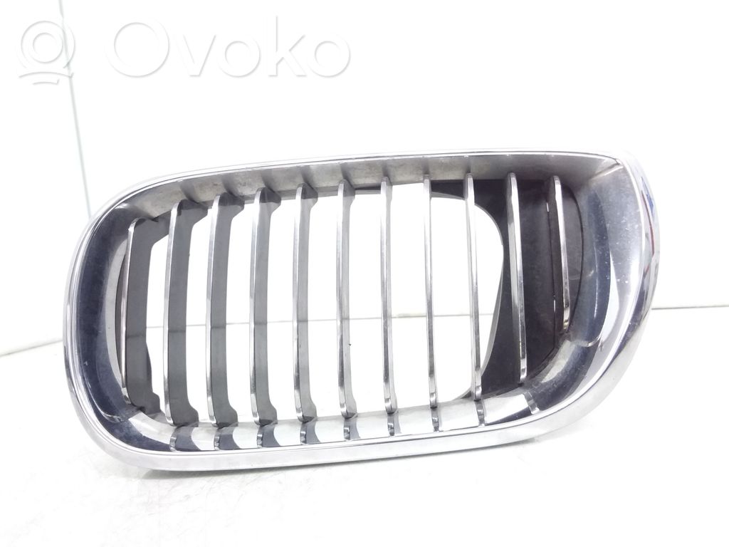 BMW 3 E46 Front grill 