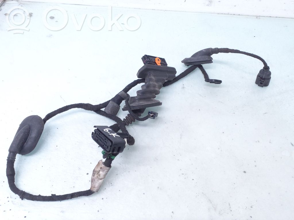 Cableado de puerta trasera