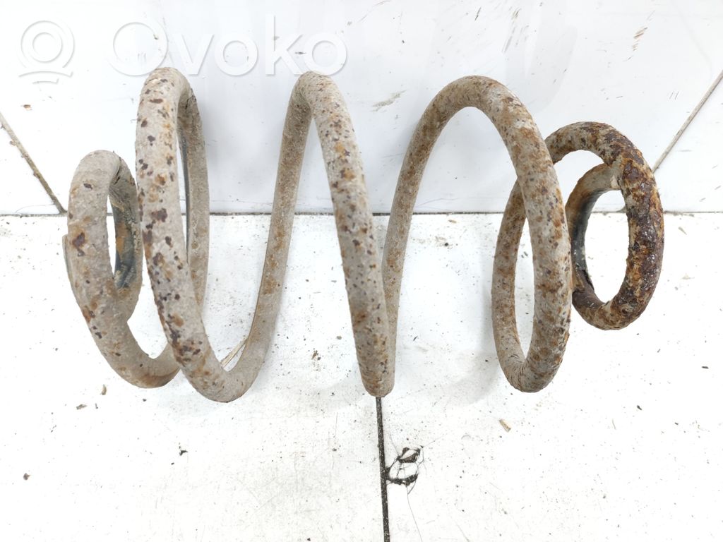 Muelle espiral trasero
